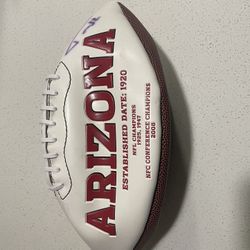 2014 Arizona Cardinals