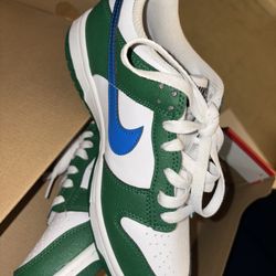 4T Nike Dunks 