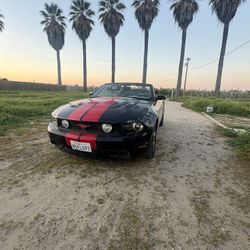 2010 Ford Mustang