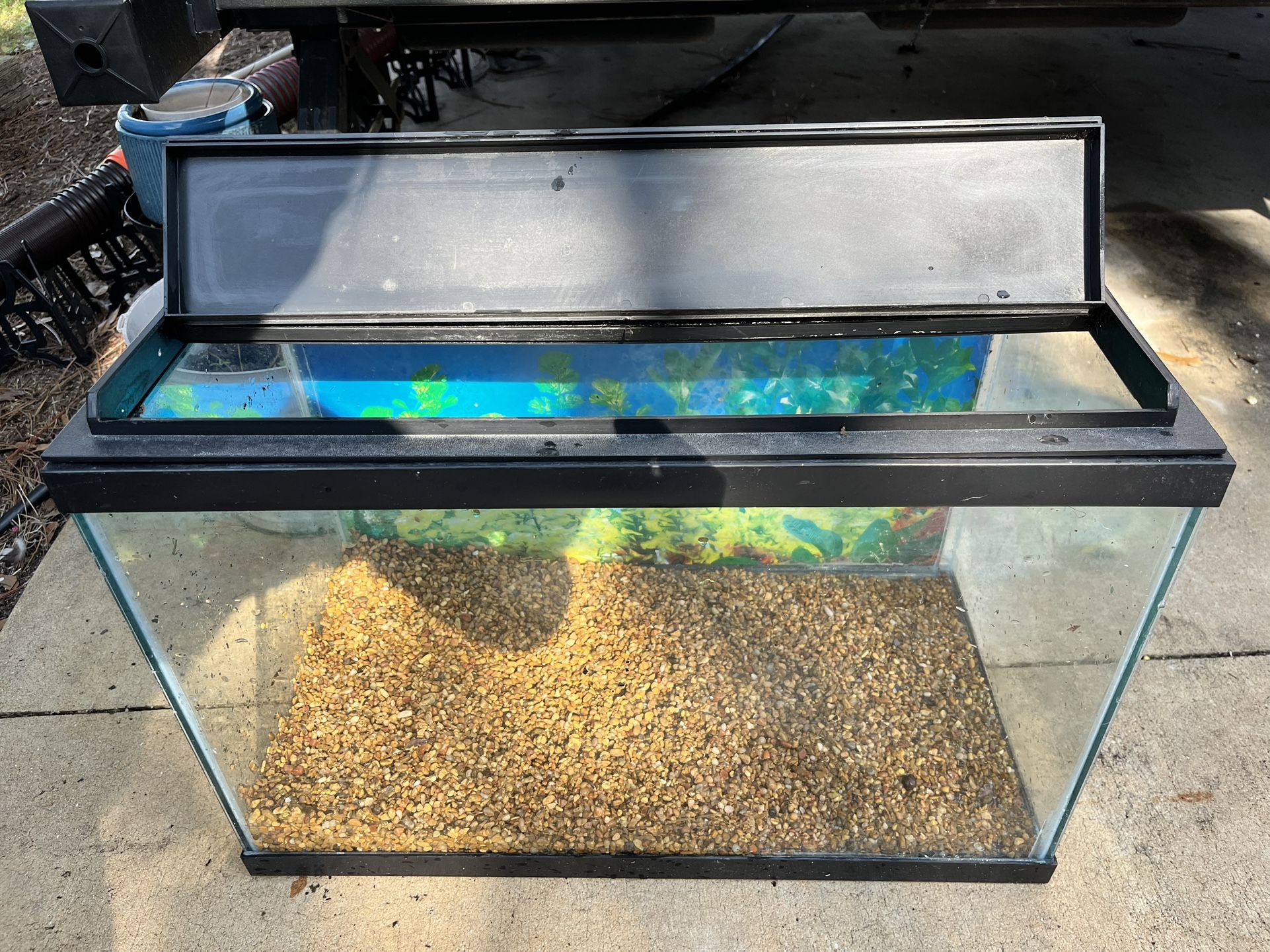 20 Gallon Fish tank with lid and light