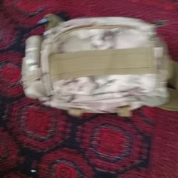 Large Belt Bag Like New Condition Pickup Only Cash 