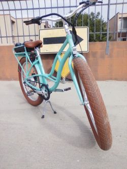 Priority Ebike Belt Drive