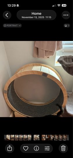 Wooden Cat Wheel