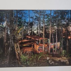 MATT STOCK Abanded Vehicles Of The Everglades Print