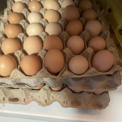 Fresh Organic Eggs 
