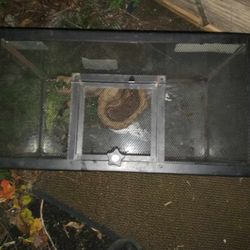 Reptile Cage With Lid