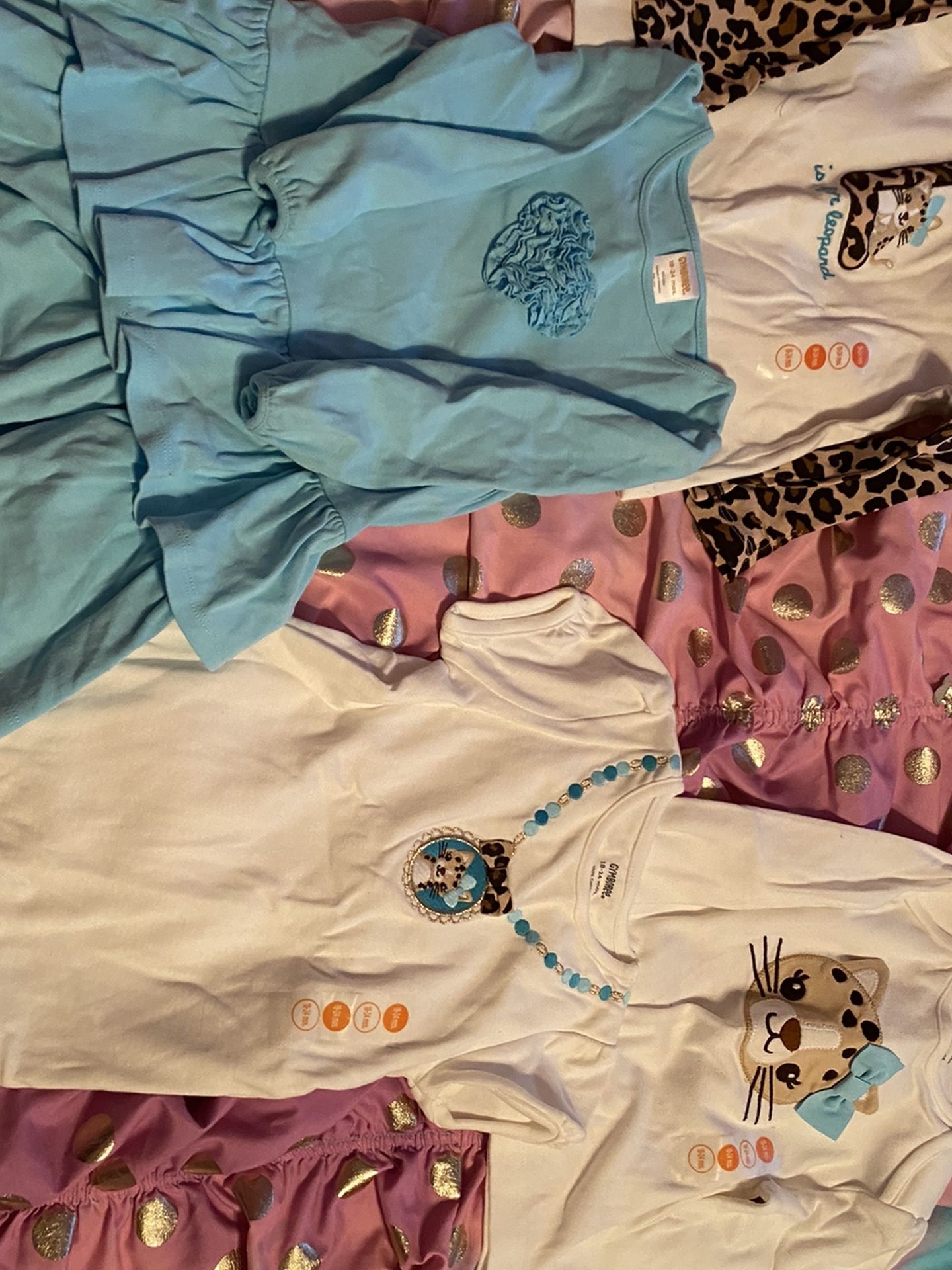 NWT Girls Gymboree Baby Lot Clothes