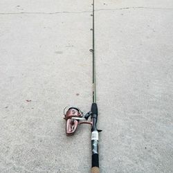Fishing Pole With Reel