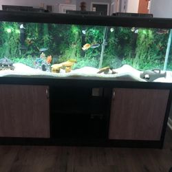 125 Gallon Fish Tank 