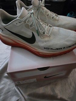 Nike Pegasus 41 Size 13