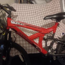 Dynacraft Mountain Bike