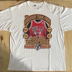 rare, vintage Chicago Bulls t-shirt, 1996 NBA champions, white, XL