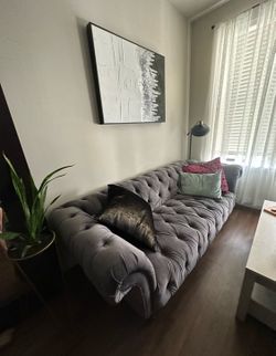 Gray couch