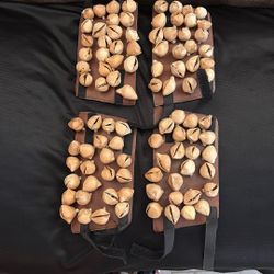 Ayoyotes Para Adultos/ayoyotes For Adults Aztec Dancing