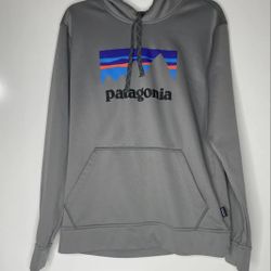 Patagonia Hoody Sz LARGE Pullover