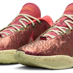 Nike LeBron 21 Queen Conch 