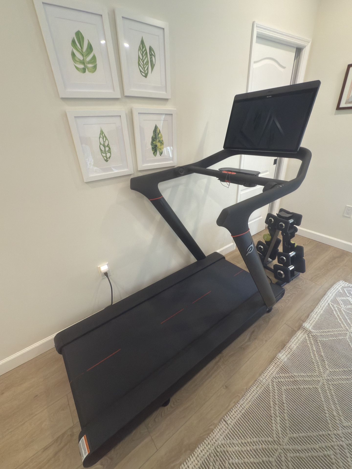 Peloton Treadmill 