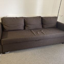 Sofa with Pull-Out Bed