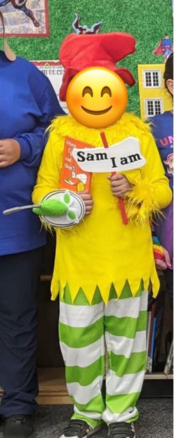 Sam I am adult costume Small