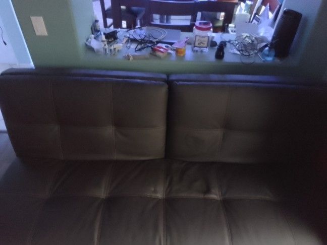 Leather Futon