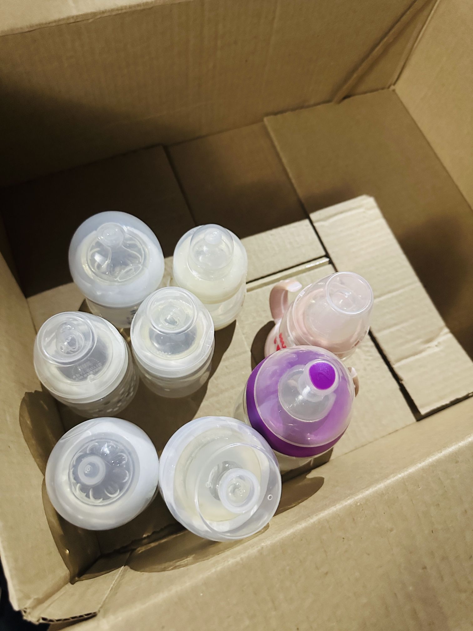 Free Baby Bottles 