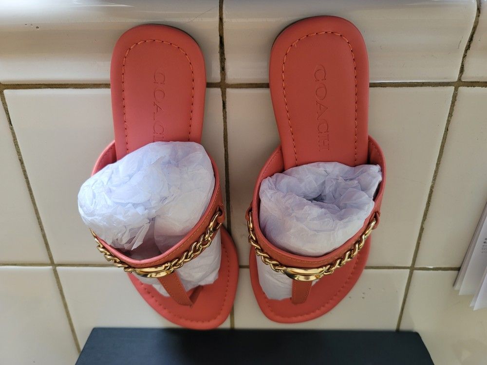 Brand New Women´s COACH Sandals Size 7.5 B $70 Pickup In Oakdale,All Products : American Fashion Style Bags On Sale