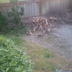 Free Firewood 