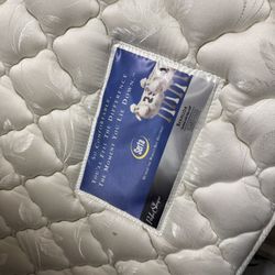 Queen Serta Mattress 