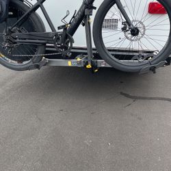 SARS 2 Bike Carrier 