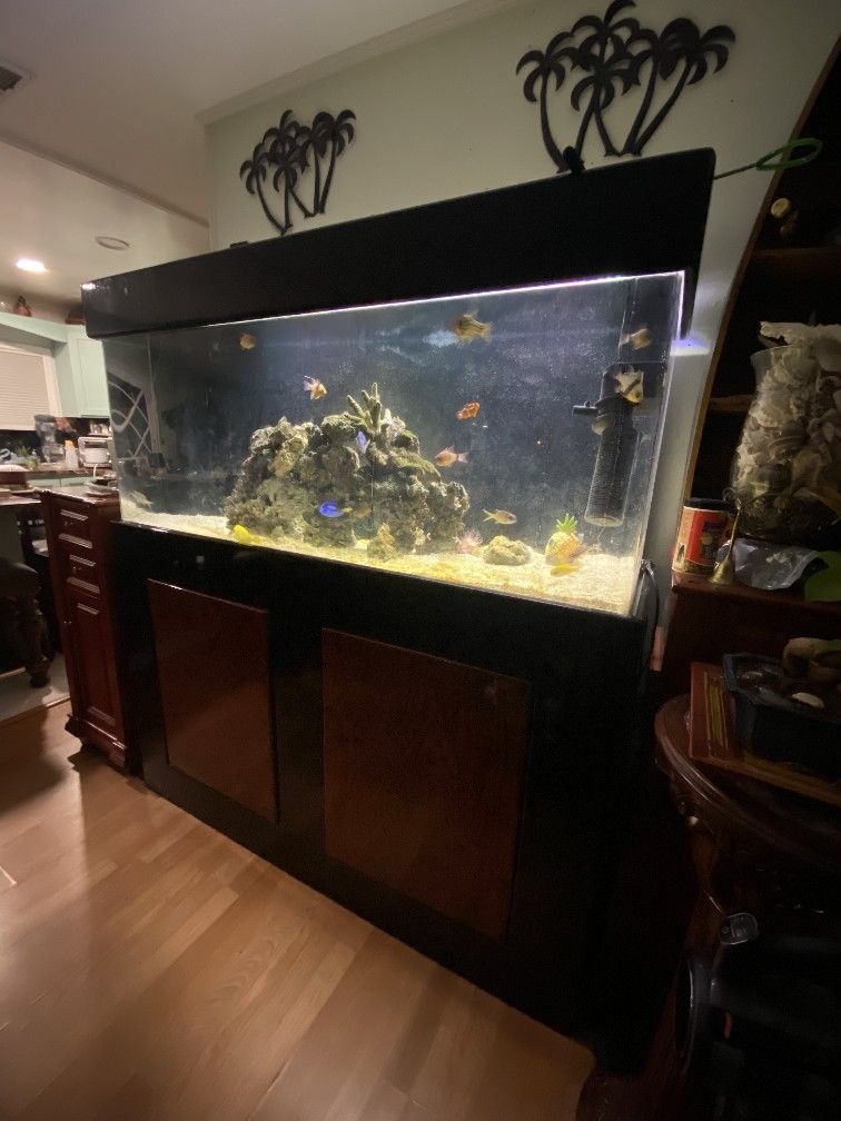 HUGE FISHTANK WITH FISH INCLUDED AND PUMPS AND FILTER WITH CUSTOM-MADE  