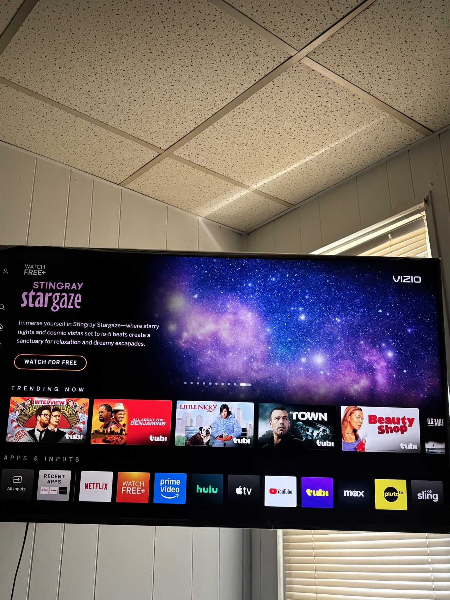 For Sale - Vizio 55” W/ Swivel TV Mount