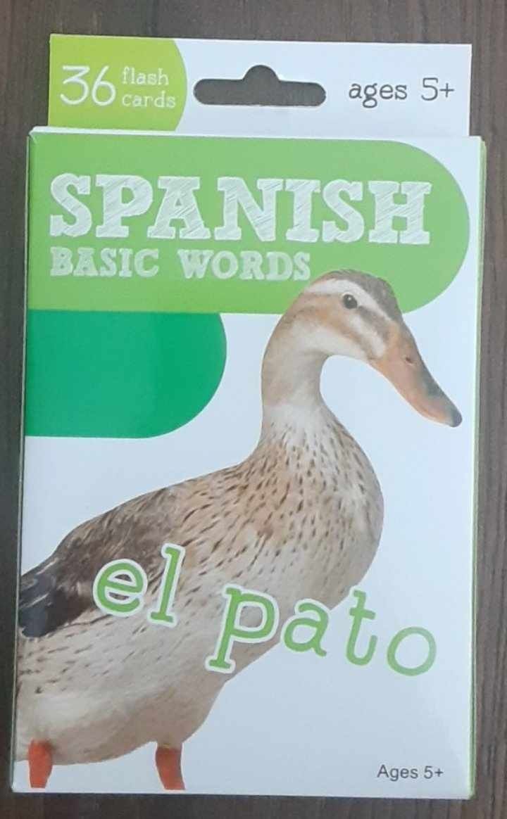 New Spanish Basic Words Flashcards