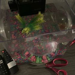 Mini fish tank