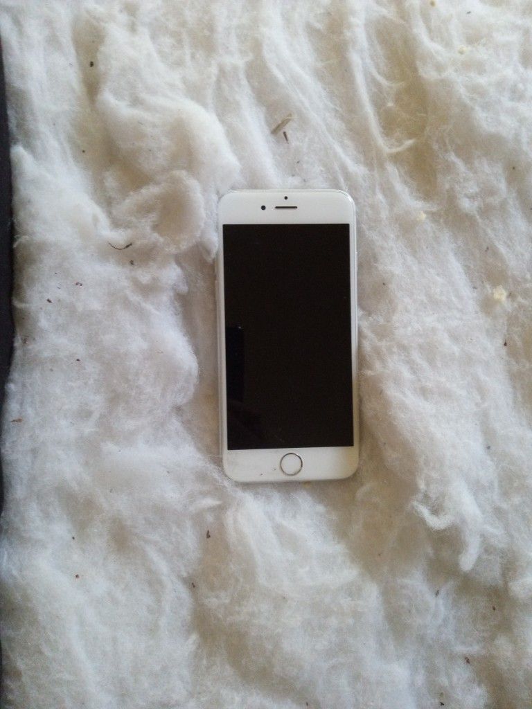 iPhone 6