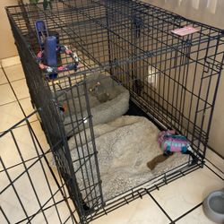 Cage And Bed For Puppies / Jaula Y Cama Para Puppie?