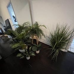 Fake plants bundle