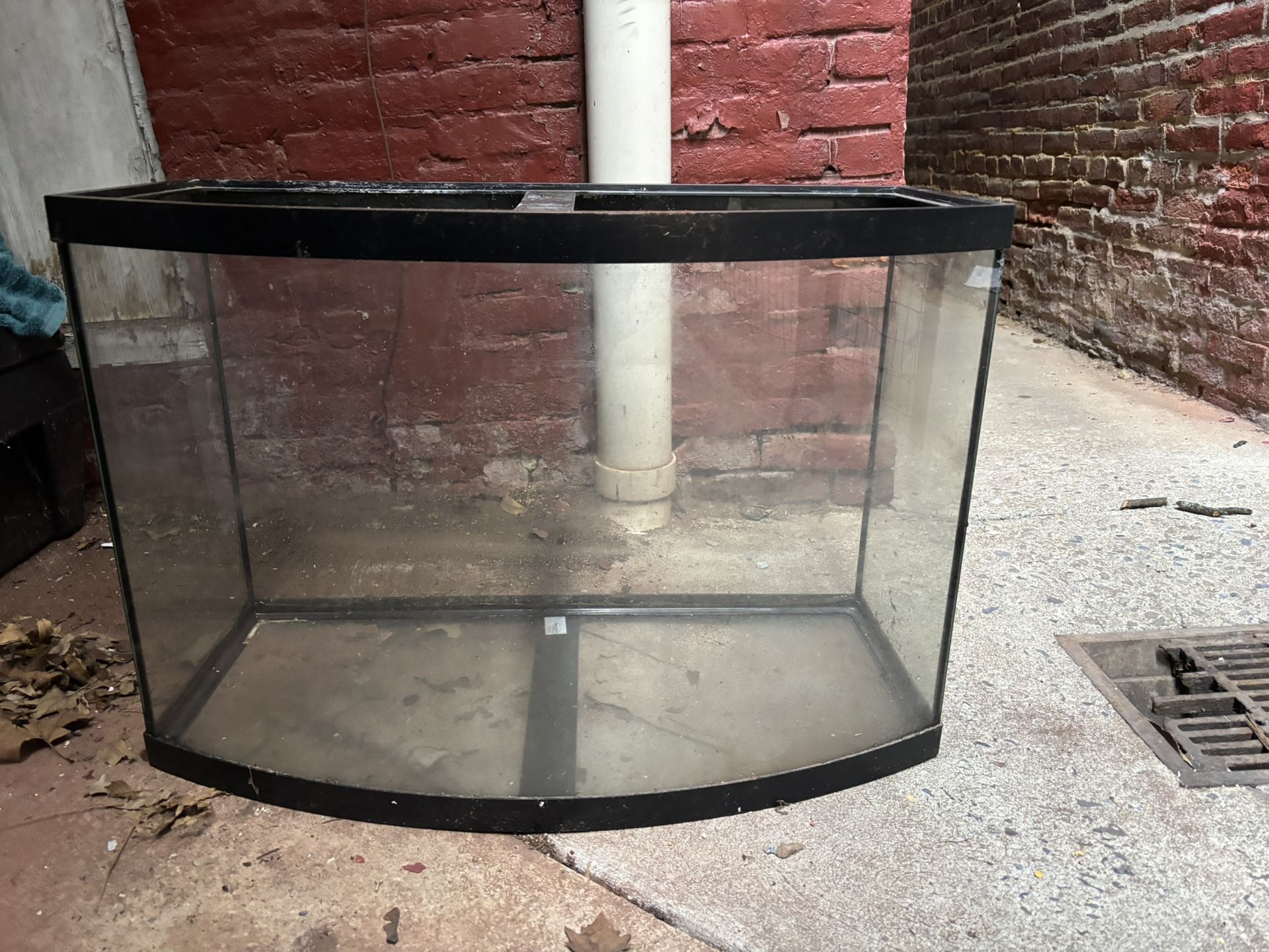 36 gal bow front fish/reptile tank