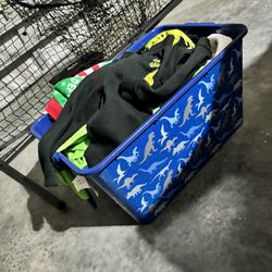 Entire Bin of Toddler Clothes - 2T-3T