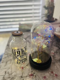 Lighted Decorative Glass Bottle & LED Rose Dome Set – Aesthetic Home Decor | Retails $37