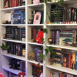 Small Billy Bookcase 