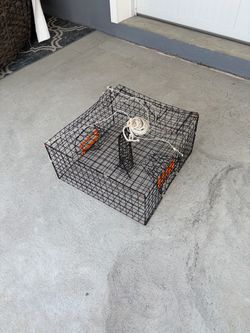 Crab Hotel trap