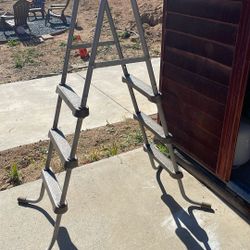 Pool Ladder