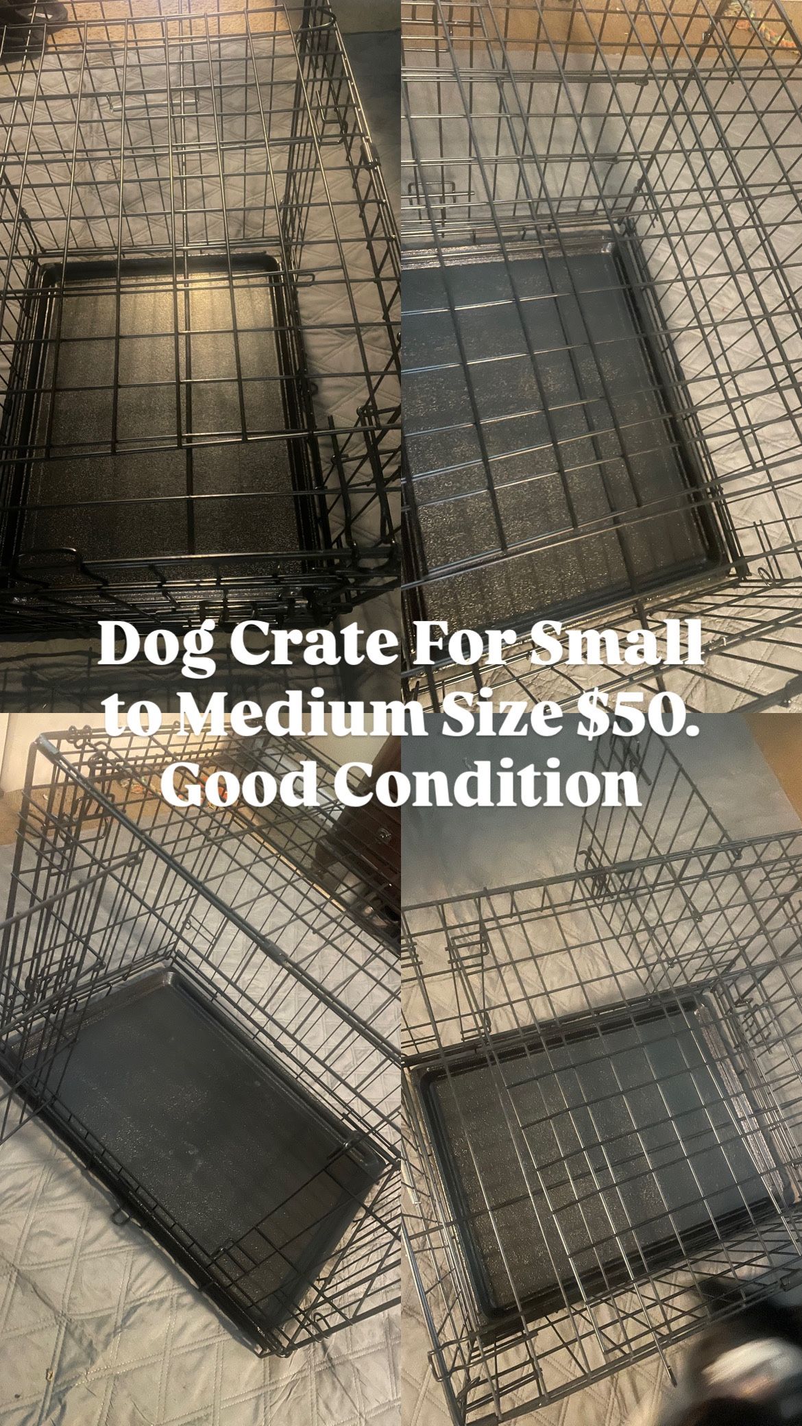 Doggy Crate