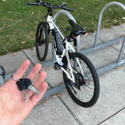Michelon E-bike