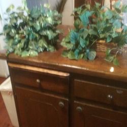Plants