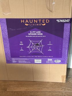 Spider Web Yard Decoration