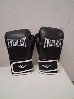 Moving Sale Everlast boxing gloves L /XL 10 pickup 3-11 pm rainbow/charleston cash only read description