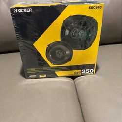 car speaker