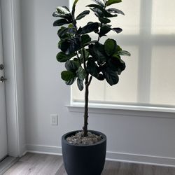 Fake Plant 