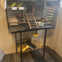 For Sale
